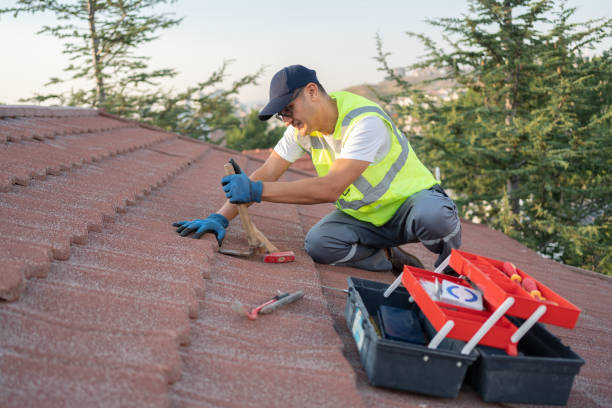 Best Roof Ventilation Installation  in Mount Vernon, GA